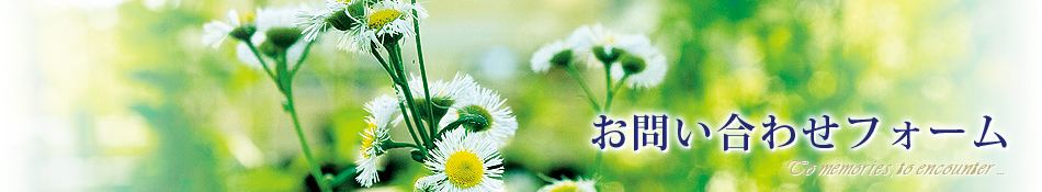 お問い合わせフォーム